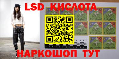 гашик Малгобек