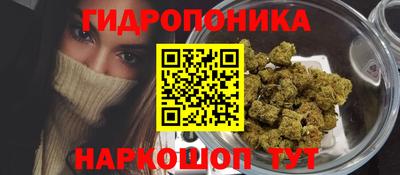 гашик Малгобек