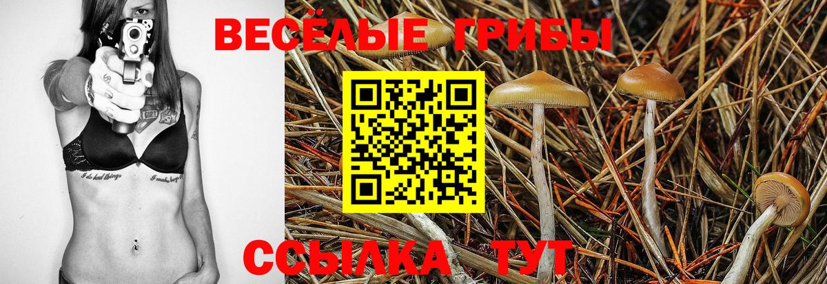 Галлюциногенные грибы Углич