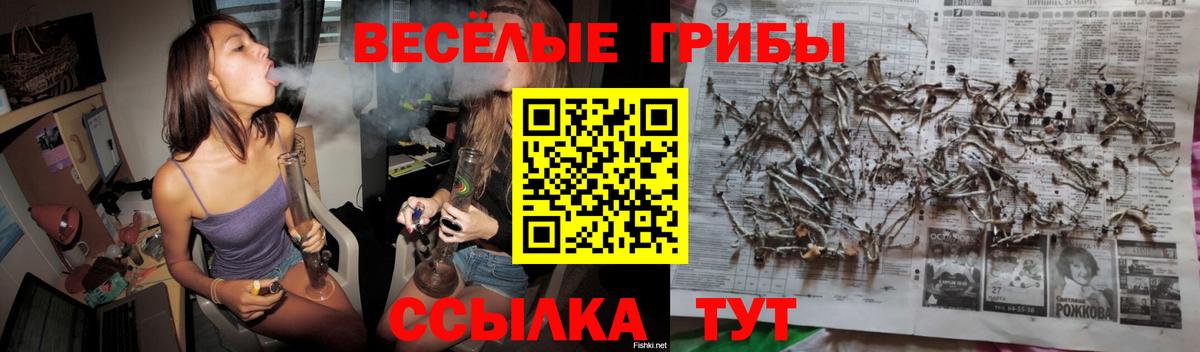 Псилоцибиновые грибы GOLDEN TEACHER Углич