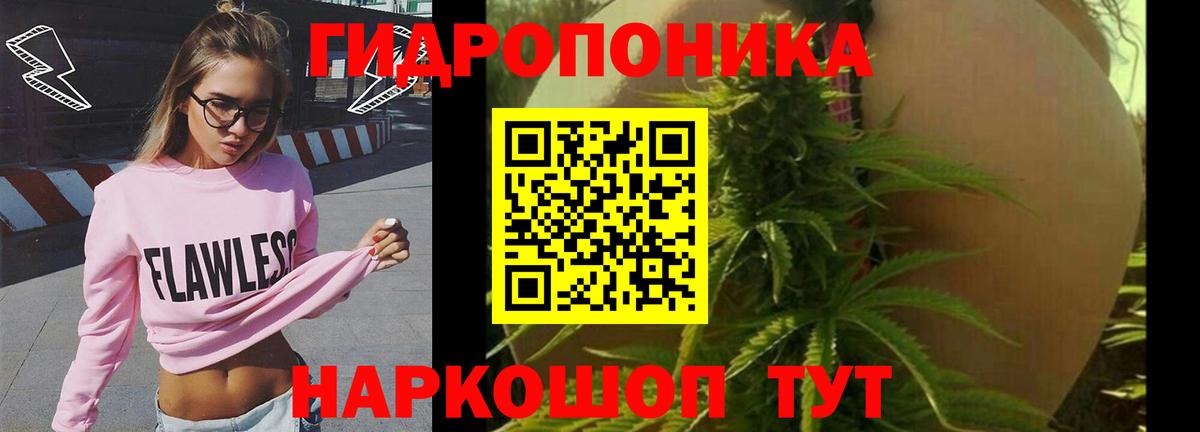 Углич  Канабис ГИДРОПОН  Вход с VPN  Бошки Шишки план  Бошки марихуана SATIVA & INDICA 